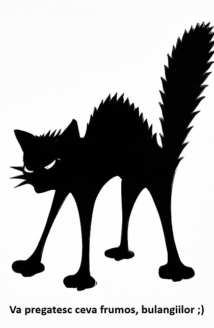 Va pregatesc ceva frumos, bulangiilor